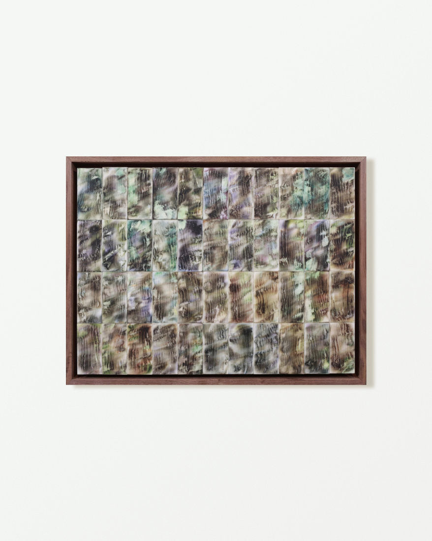 Erasing News: The Noise of Moss on the Wood 擦拭新聞：苔木絮語