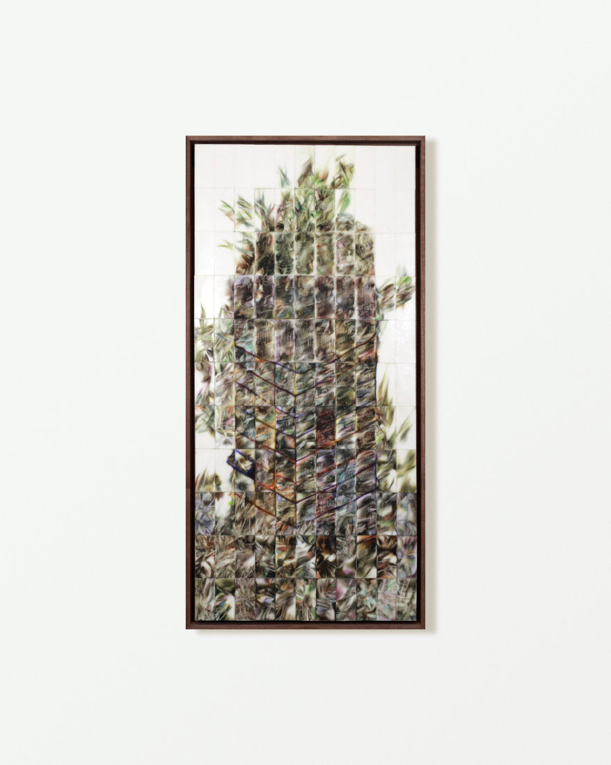 Erasing News: Tree Stump as a Building 擦拭新聞：樹墩如建築
