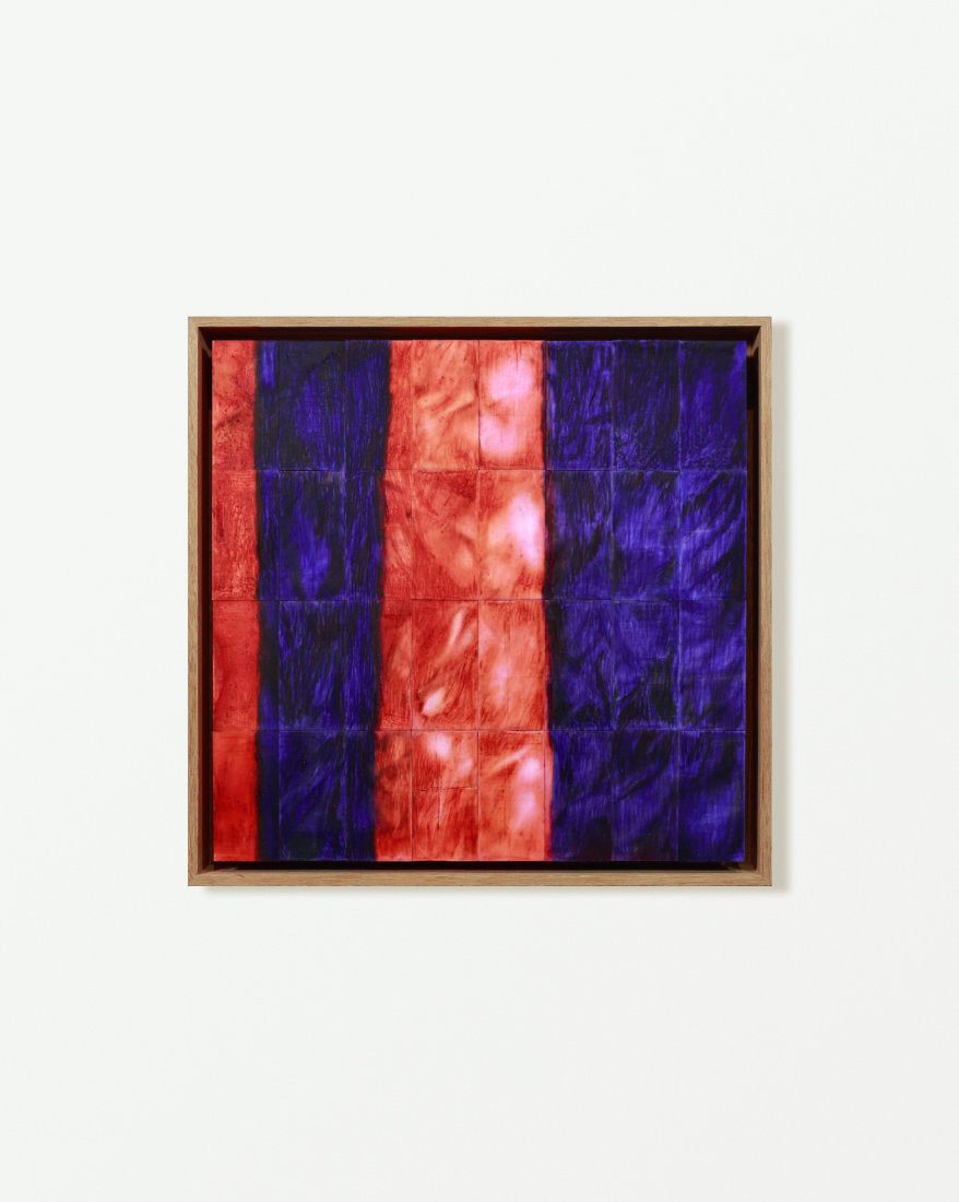 Purple-blue Scaffold Netting 紫藍色棚架網