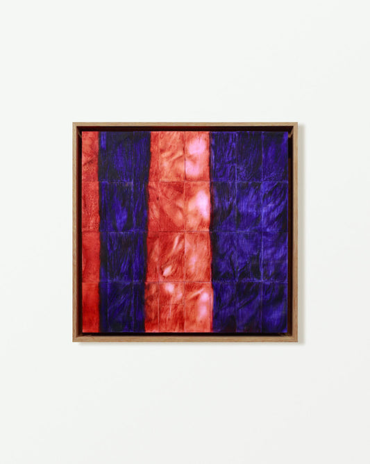 Purple-blue Scaffold Netting 紫藍色棚架網