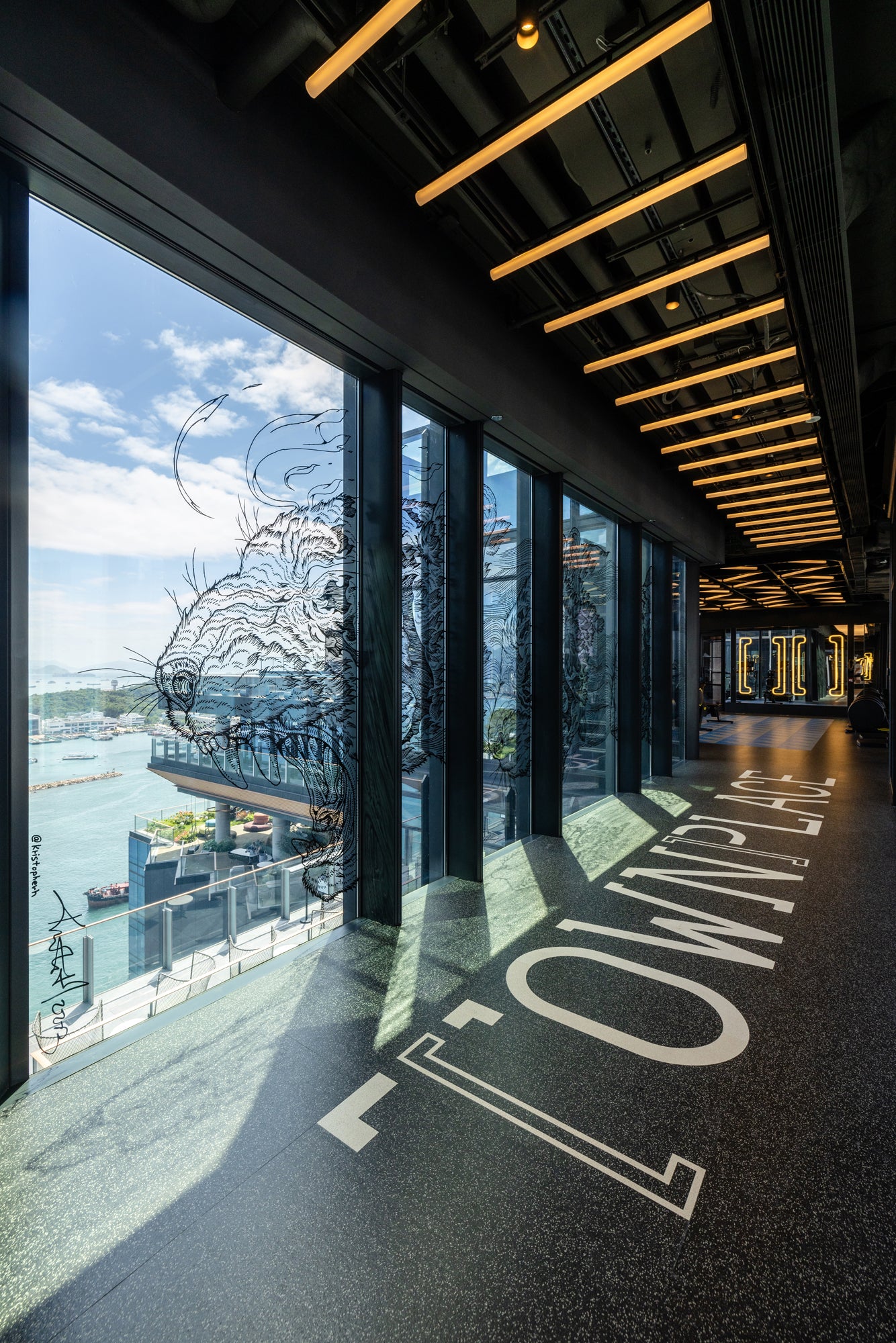 Contemporary mural art by Kristopher Ho commissioned for Townplace West Kowloon Hong Kong Gym curated by The Picturesque.